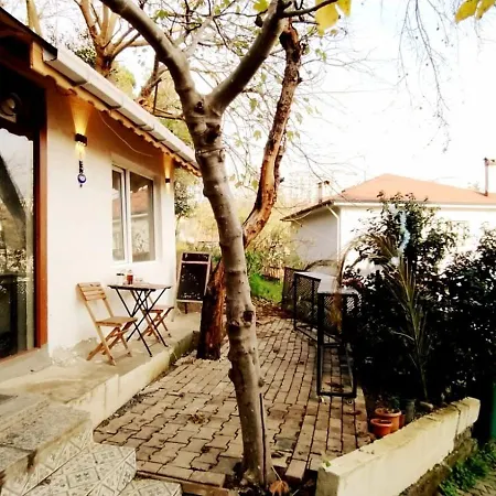 Shanti Garden Bosphorus B&B 이스탄불